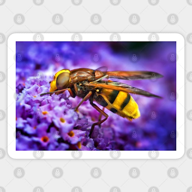 Busy Bee Sticker by GeoffCarpenter